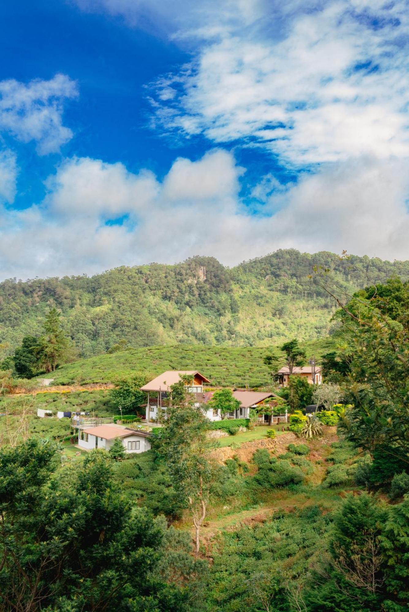 Hill Safari - Tea Estate Villa Ohiya Extérieur photo
