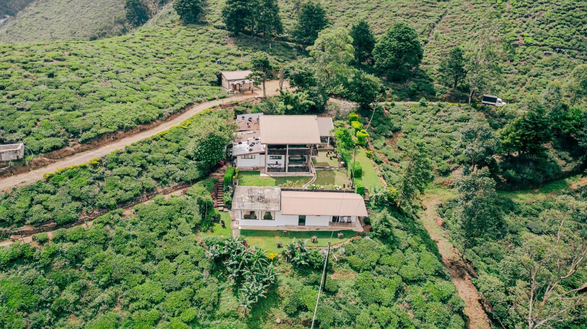 Hill Safari - Tea Estate Villa Ohiya Extérieur photo