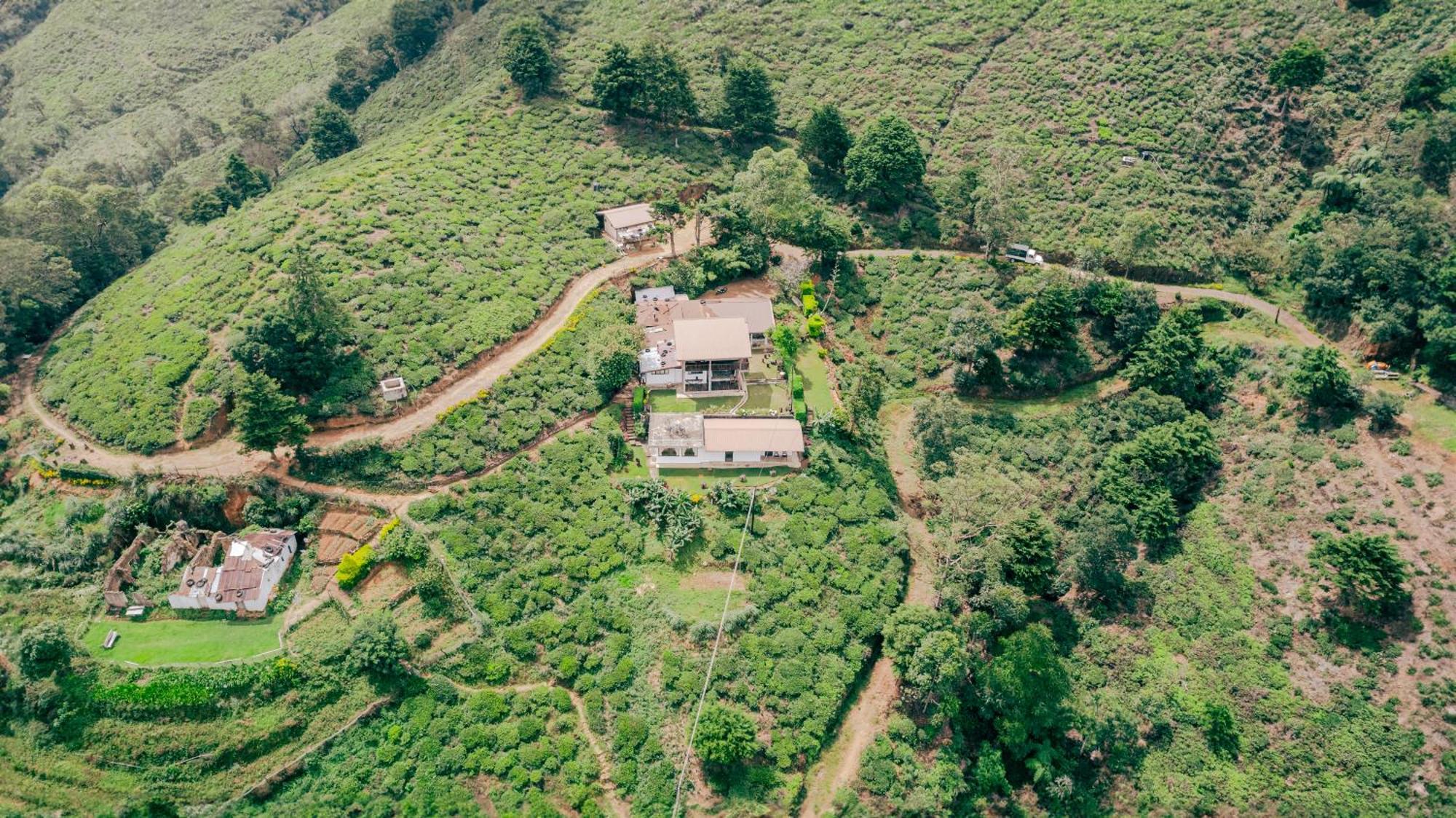 Hill Safari - Tea Estate Villa Ohiya Extérieur photo