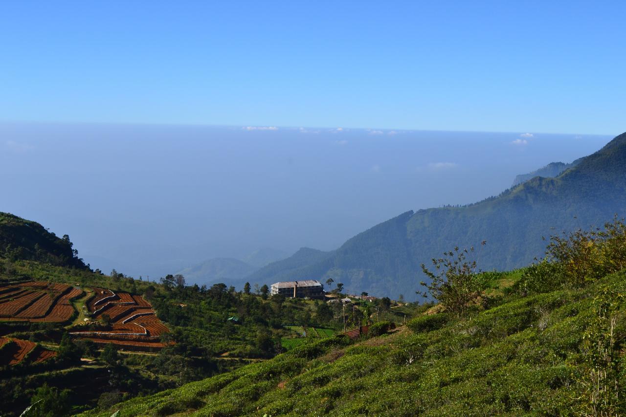 Hill Safari - Tea Estate Villa Ohiya Extérieur photo